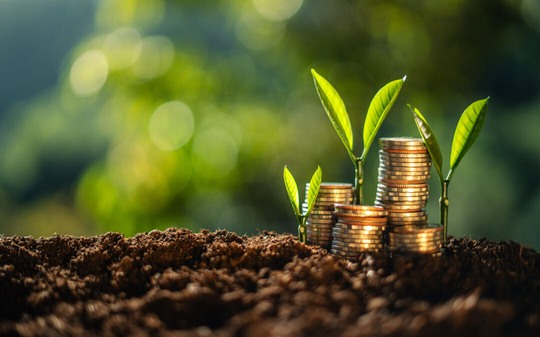 Bliss Investing: Aligning Profit with Purpose for Sustainable Growth