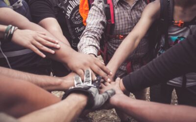 Turning Audiences into Allies: The Role of Human Connection in Brand Success