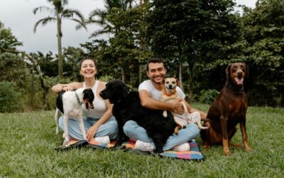 The Power of Human-Centered Partnerships in Business