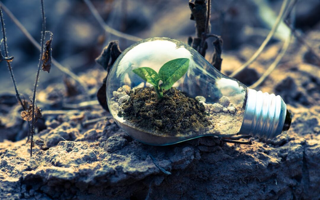 Sustainability Is a Leadership Choice, Not a Compliance Task