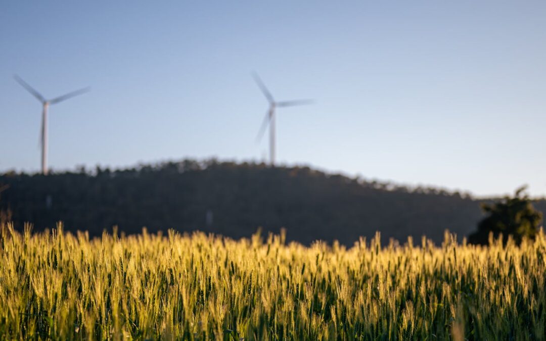 Sustainable Innovation Wins When It Is Built on Purpose