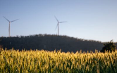 Sustainable Innovation Wins When It Is Built on Purpose