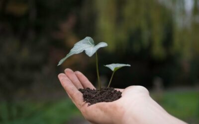 Growth Is a Responsibility, Not a Race