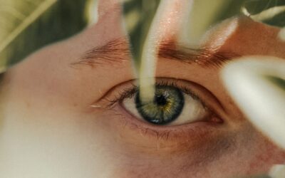 Visibility With Responsibility